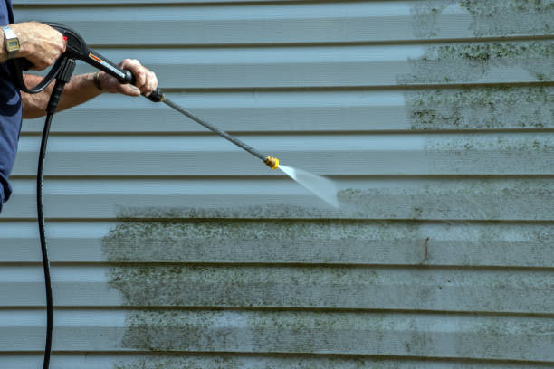 Local Pressure Washing Services in Albia, IA
