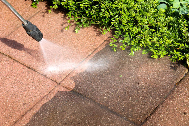 Best House Pressure Washing  in Alb, IA