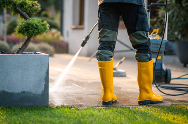 Best House Pressure Washing  in Alb, IA